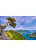 Puzzle 1000 el. View of the Lake of Uri, Switzerland Castorland