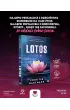 Lotos