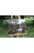Twoje Hobby Malowanie po numerach - Nad rzek� 40x50cm