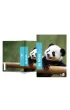 Zeszyt A4 Be More Baby w lini� 96 strony 100 g. 1szt.mix