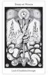 Hermetic Tarot, karty do wr�enia