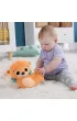 Fisher-Price. Rozko�ysana Wyderka 2w1 Poduszeczka Mattel