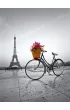 Puzzle 500 el. Romantic Promenade in Paris Clementoni