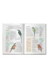 Encyklopedia ptak�w �wiata