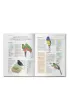 Encyklopedia ptak�w �wiata