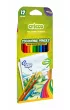 Cricco Kredki tr�jk�tne 12 szt.