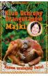 Klub Ochrony Orangutanw Majki. Razem uratujmy wiat
