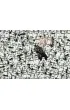Puzzle 1000 el. Challenge. Gwiezdne Wojny Ravensburger