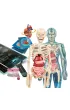 Super Anatomia Clementoni