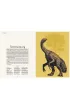 Dinozaurium. Muzeum Dinozaur�w