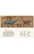 Dinozaurium. Muzeum Dinozaur�w