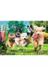 Puzzle 1000 el. Nadchodz� k�opoty Trefl