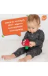 Silikonowy gryzak do owoc�w i pokarmu, Fruitique, Truskawka RazBaby