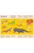 Moje w�asne zoo. Odkrywamy tajemnice �wiata zwierz�t