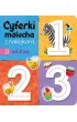 Cyferki malucha z naklejkami. Od 4 lat