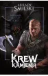 Krew kamienia – Arkady Saulski – okładka ebook
