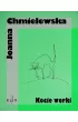 Kocie worki – Joanna Chmielewska – okładka ebook