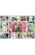 Puzzle 100 el. Koci�ta Schmidt