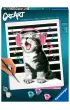 Malowanie po numerach CreArt - �piewaj�cy kot Ravensburger
