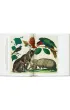 Cabinet of Natural Curiosities wer. angielska
