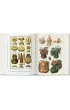 Cabinet of Natural Curiosities wer. angielska