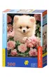 Puzzle 60 el. Pomeranian Puppy in Roses Castorland