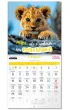 Kukartka Kalendarz Classic Q WILD PUPPIES 2026