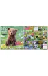 Kukartka Kalendarz Classic Q WILD PUPPIES 2026