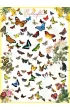 Puzzle 1000 el. Motyle Eurographics
