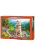 Puzzle 1000 el. Wilki nowe pokolenie Castorland