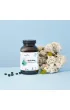 Aura Herbals Spirulina 1500 mg Suplement diety 600 tab.