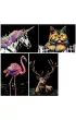 Twoje Hobby Animal 02. Magiczna zdrapka - wydrapywanka 21.0 x 29.5 cm