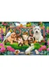 Puzzle 1000 el. Zwierz�ta w parku Castorland