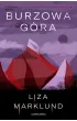 Burzowa g�ra. Wiking Stromberg. Tom 3
