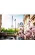 Puzzle 500 el. 2D Pary� Ravensburger