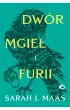 Dwr mgie i furii. Dwr cierni i r. Tom 2