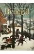 Bruegel. The Complete Paintings. 40th Ed. wer. angielska