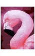Twoje Hobby Malowanie po numerach - Flaming 40x50cm