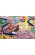 Takenoko
