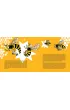 Amory zaloty i podboje