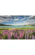 Puzzle 1500 el. HQ Lupins At Lake Tekapo Clementoni