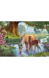 Puzzle 1000 el. Dzikie koniki, Steve Crisp Eurographics