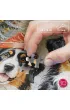 Puzzle 1000 el. Holiday Puppies 31254 CherryPazzi
