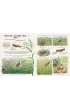 Slow Down. B�d� tu i teraz