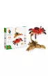 Origami 3D. 2w1 Paj�k, Skorpion Alexander