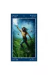 Tarot Ksi�ga Cieni cz.1 - The Book of Shadows Tarot, Vol. 1