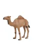 Figurka Wielb��d Arabski