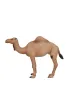 Figurka Wielb��d Arabski
