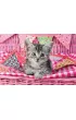 Puzzle 3x48 el. Najs�odsze zwierz�tka Schmidt
