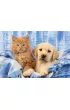 Puzzle 3x48 el. Najs�odsze zwierz�tka Schmidt
